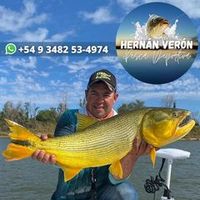 hernanveron822