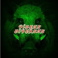 videosdiversos16031980