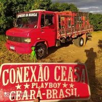 brenohenrique3315