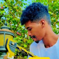 الصوت الأصلي