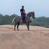clenyalves2