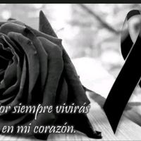 lizbeth_y_david2