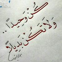 user935072816631