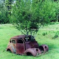 original sound - neilwilliams111