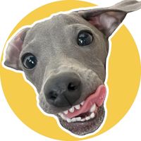 tartufo.nero.theiggy