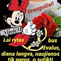 aivarasjovaisa