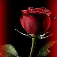 original sound - sandraduran601