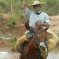 fabao_traias