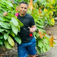 original sound - simonsarcos