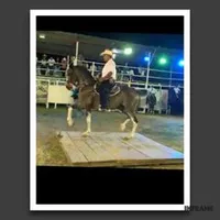 original sound - oscartaleno11