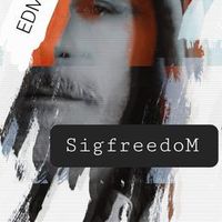sigfreedomdj_official