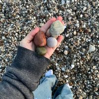 الصوت الأصلي