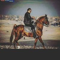samerzarad79