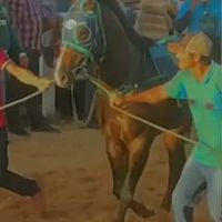 gabrielrodriguess858