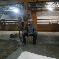 vaquero_caballero