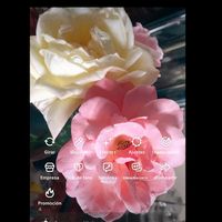 mamadeliagonzalez580