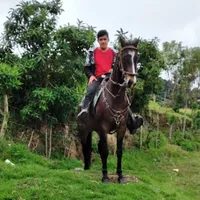 original sound - jairoportilla22