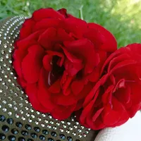 original sound - s..u..z123