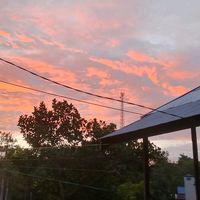 suara asli - ⚡⚡⚡