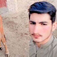 sadaqadbajwa