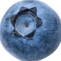 blueberryblastcartnite