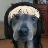 sonido original - SG TRASH