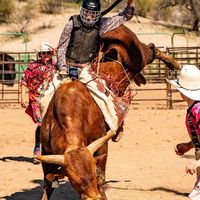 tannermarchant22