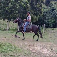 matheus.valerio0