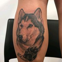 user5125457751813atenea