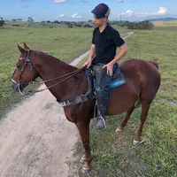 original sound - lourinaldofilhof