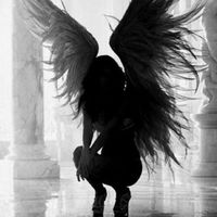 minhaanjinhafavorita