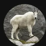 original sound - nostalgia_music14