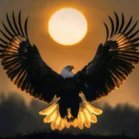 original sound - e._am