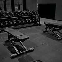 gym.gyml