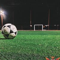 الصوت الأصلي