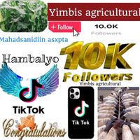 yimbisagricultural