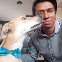 Y si te quedas qué