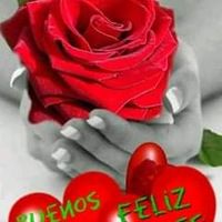 carmenrosamamaniq6
