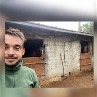 suono originale