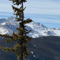 Stop flexing on my sound