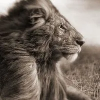 original sound - calajohn_a