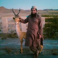 bahadurmengal
