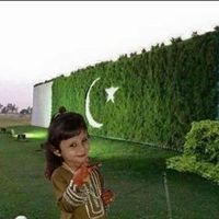 sikandarsikandar3896
