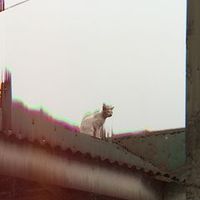 original sound - Masazaki