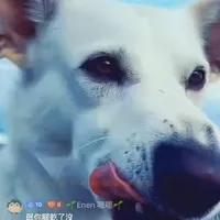 original sound - yimiwuning