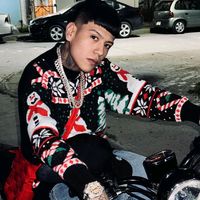 tornillo_vazques1444