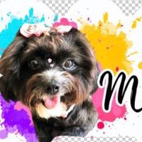 mel_meumundo