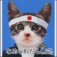オリジナル楽曲 - Route20