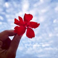 เสียงต้นฉบับ - Mini0307