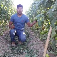 robertocarlosroja45